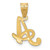 Image of 14K Yellow Gold A Script Initial Pendant