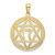 Image of 14K Yellow Gold and Rhodium Polished Jewish Star with Chai In Round Pendant