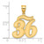 Image of 14K Yellow Gold Brushed Border Script Number 36 Pendant