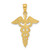 Image of 14K Yellow Gold Caduceus Pendant C2261