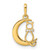 Image of 14K Yellow Gold Childrens CZ Cat and Moon Pendant