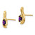 Image of 14mm 14K Yellow Gold Diamond & Amethyst Earrings XBS407