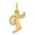 14K Yellow Gold Initial T Charm C565T