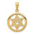 Image of 14K Yellow Gold Jewish Chi In Star Of David Pendant