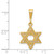Image of 14K Yellow Gold Jewish Star Pendant
