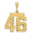 Image of 14K Yellow Gold Large Shiny-Cut Number 46 Pendant