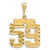 Image of 14K Yellow Gold Large Shiny-Cut Number 59 Pendant