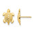 Image of 11mm 14K Yellow Gold Madi K Turtle Post Earrings SE2032