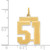 Image of 14K Yellow Gold Medium Satin Number 51 Charm