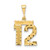 Image of 14K Yellow Gold Medium Shiny-Cut Number 12 Charm