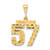 Image of 14K Yellow Gold Medium Shiny-Cut Number 57 Charm