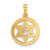 Image of 14K Yellow Gold Polished & Enameled Solid Star of David Pendant XR1965