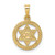 Image of 14K Yellow Gold Polished & Textured Solid Star of David in Frame Pendant