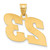 Image of 14K Yellow Gold Polished Block Number 23 Pendant