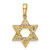 Image of 14K Yellow Gold Polished CZ Star Of David Pendant