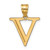 Image of 14K Yellow Gold Polished Etched Letter V Initial Pendant