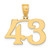 Image of 14K Yellow Gold Polished Number 43 Pendant