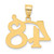 Image of 14K Yellow Gold Polished Number 48 Pendant