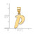 Image of 14K Yellow Gold Polished Script Letter P Initial Pendant
