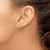 Image of 12mm 14K Yellow Gold Sand Dollar Stud Post Earrings TE636