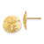 Image of 12mm 14K Yellow Gold Sand Dollar Stud Post Earrings TE636