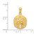 Image of 14K Yellow Gold Satin Shiny-Cut Sand Dollar Pendant K6070