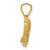 Image of 14K Yellow Gold Shiny-Cut Lion Pendant