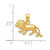 Image of 14K Yellow Gold Shiny-Cut Lion Pendant