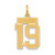 Image of 14K Yellow Gold Small Satin Number 19 Charm