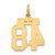 Image of 14K Yellow Gold Small Satin Number 48 Charm