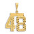 Image of 14K Yellow Gold Small Shiny-Cut Number 48 Charm