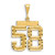 Image of 14K Yellow Gold Small Shiny-Cut Number 58 Charm