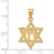 Image of 14K Yellow Gold Solid Polished Chai In Star Of David Pendant