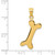 Image of 14K Yellow Gold Solid Polished Dog Bone Charm
