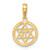 Image of 14K Yellow Gold Star Of David & Chi In Circle Pendant