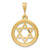 Image of 14K Yellow Gold Star Of David Pendant