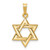 Image of 14K Yellow Gold Star Of David Pendant XR419