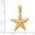 Image of 14K Yellow Gold Starfish Pendant K2958