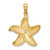 Image of 14K Yellow Gold Starfish Pendant K2962