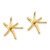 Image of 14mm 14K Yellow Gold Starfish Stud Post Earrings TE624