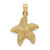 Image of 14K Yellow Gold Starfish w/ Beaded Texture Pendant K8071