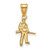 14K Yellow Gold West Virginia University Medium Pendant by LogoArt (4Y045WVU)