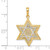 Image of 14k Yellow Gold with Rhodium Solid Open-back Meshed Star of David Pendant