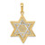 Image of 14k Yellow Gold with Rhodium Solid Open-back Meshed Star of David Pendant
