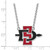 Image of 18" 10K White Gold San Diego State University Large Pendant w/ Necklace by LogoArt