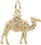 Image of Camel Charm (Choose Metal) by Rembrandt