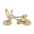 Detailed Bicycle Charm (Choose Metal) by Rembrandt