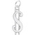 Image of Dollar Sign Charm (Choose Metal) by Rembrandt