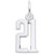 Image of Elegant Number 21 Charm (Choose Metal) by Rembrandt