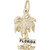Image of Florida Palm Charm (Choose Metal) by Rembrandt